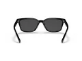 Coach C6196 Sonnenbrille HC 8328U 500287