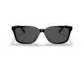 Coach C6196 Sonnenbrille HC 8328U 500287