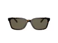 Coach C6196 Sonnenbrille HC 8328U 512003