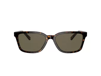 Coach C6196 Sonnenbrille HC 8328U 512003