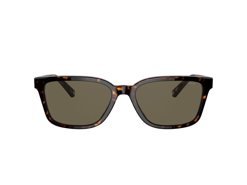 Coach C6196 Sonnenbrille HC 8328U 512003
