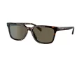 Coach C6196 Sonnenbrille HC 8328U 512003