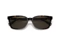 Coach C6196 Sonnenbrille HC 8328U 512003
