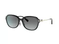 Coach C6199 Sonnenbrille HC 8332D 500211
