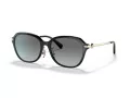 Coach C6199 Sonnenbrille HC 8332D 500211