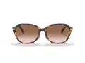 Coach C6199 Sonnenbrille HC 8332D 512013
