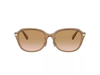 Coach C6199 Sonnenbrille HC 8332D 565413