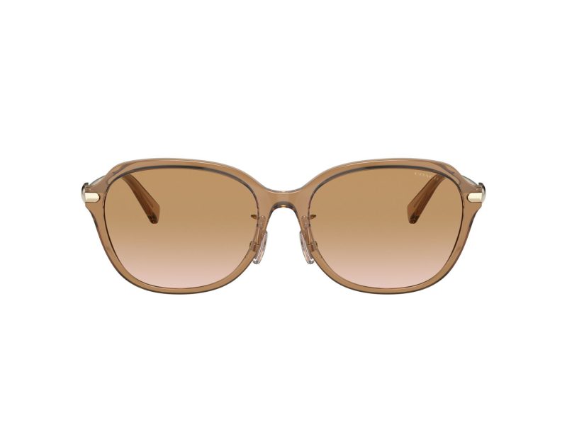 Coach C6199 Sonnenbrille HC 8332D 565413