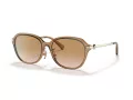 Coach C6199 Sonnenbrille HC 8332D 565413