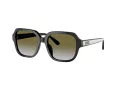 Coach C7989 Sonnenbrille HC 8335U 50027Z