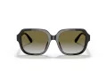 Coach C7989 Sonnenbrille HC 8335U 50027Z