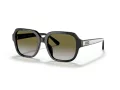 Coach C7989 Sonnenbrille HC 8335U 50027Z