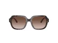 Coach C7989 Sonnenbrille HC 8335U 512013