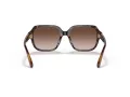 Coach C7989 Sonnenbrille HC 8335U 512013