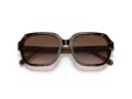 Coach C7989 Sonnenbrille HC 8335U 512013