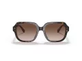 Coach C7989 Sonnenbrille HC 8335U 512013