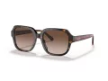 Coach C7989 Sonnenbrille HC 8335U 512013