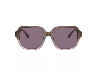 Coach C7989 Sonnenbrille HC 8335U 56781A