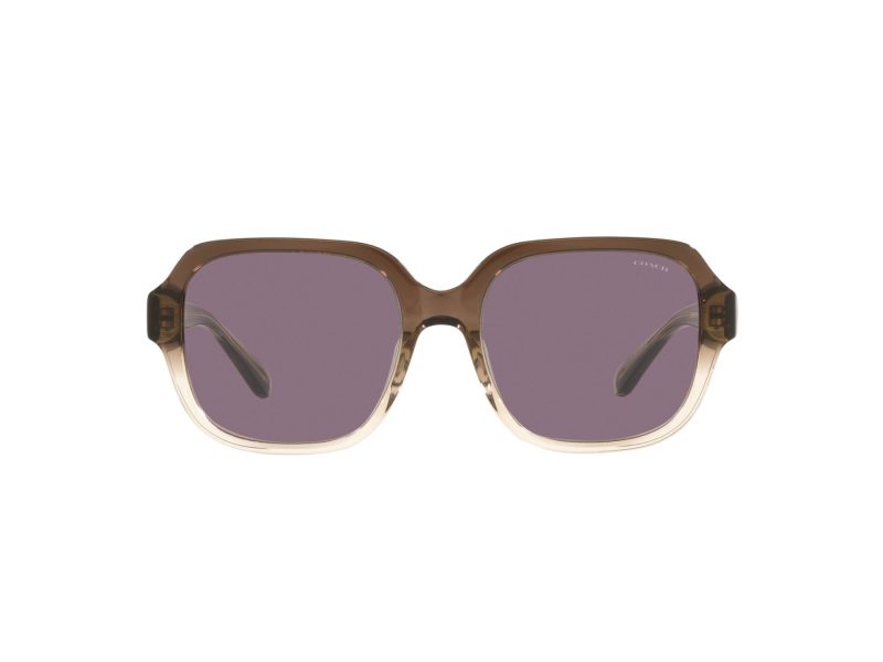 Coach C7989 Sonnenbrille HC 8335U 56781A