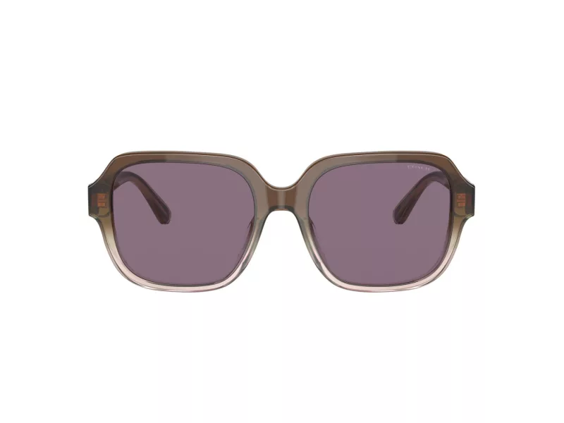 Coach C7989 Sonnenbrille HC 8335U 56781A
