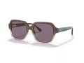 Coach C7989 Sonnenbrille HC 8335U 56781A