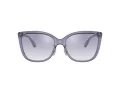 Coach C9206 Sonnenbrille HC 8345 56657B