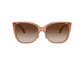 Coach C9206 Sonnenbrille HC 8345 570013