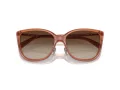 Coach C9206 Sonnenbrille HC 8345 570013