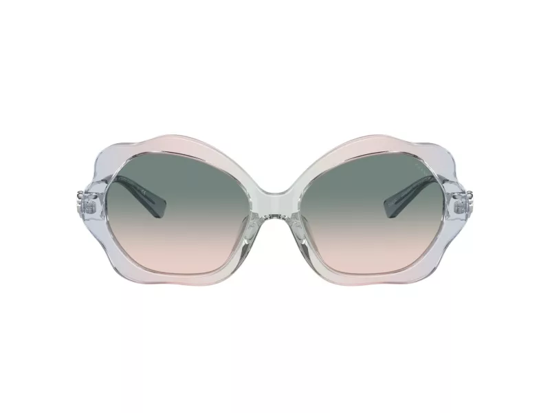 Coach C9200 Sonnenbrille HC 8346BU 56422C