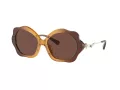 Coach C9200 Sonnenbrille HC 8346BU 57016G