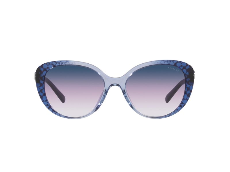 Coach Cd479 Sonnenbrille HC 8348U 57088H