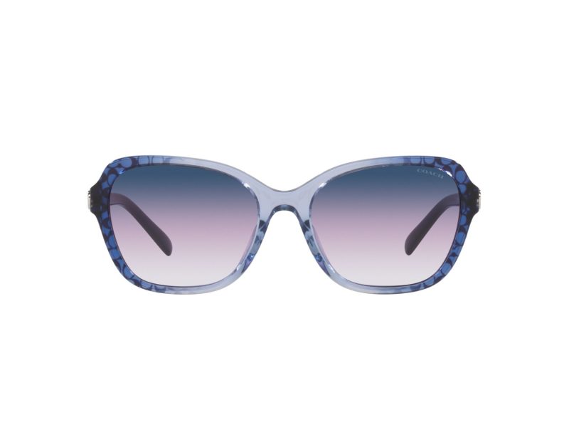 Coach Cd481 Sonnenbrille HC 8349U 57088H