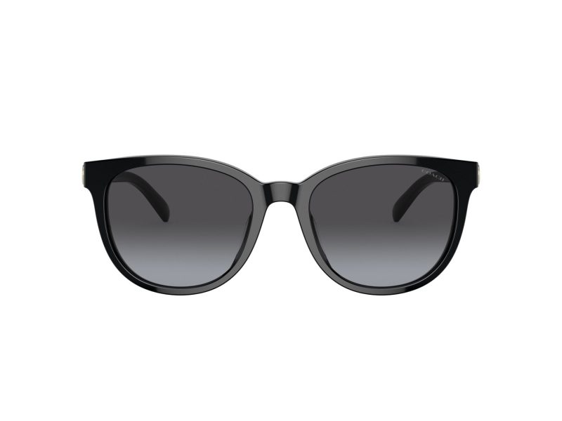Coach Cd478 Sonnenbrille HC 8350U 50028G
