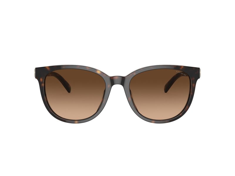 Coach Cd478 Sonnenbrille HC 8350U 512074