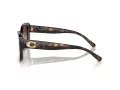 Coach Cd472 Sonnenbrille HC 8352 512013