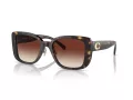 Coach Cd472 Sonnenbrille HC 8352 512013