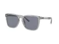 Coach Cd458 Sonnenbrille HC 8354U 571855