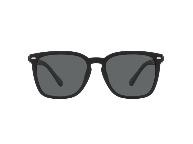 Coach Cd458 Sonnenbrille HC 8354U 572081