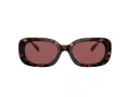 Coach Cd471 Sonnenbrille HC 8358U 512069
