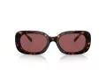 Coach Cd471 Sonnenbrille HC 8358U 512069