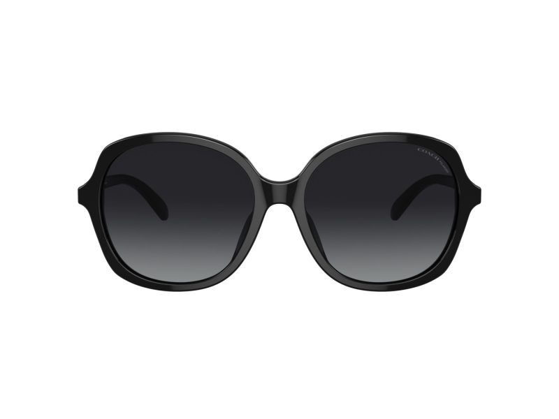 Coach Ch557 Sonnenbrille HC 8360U 5002T3