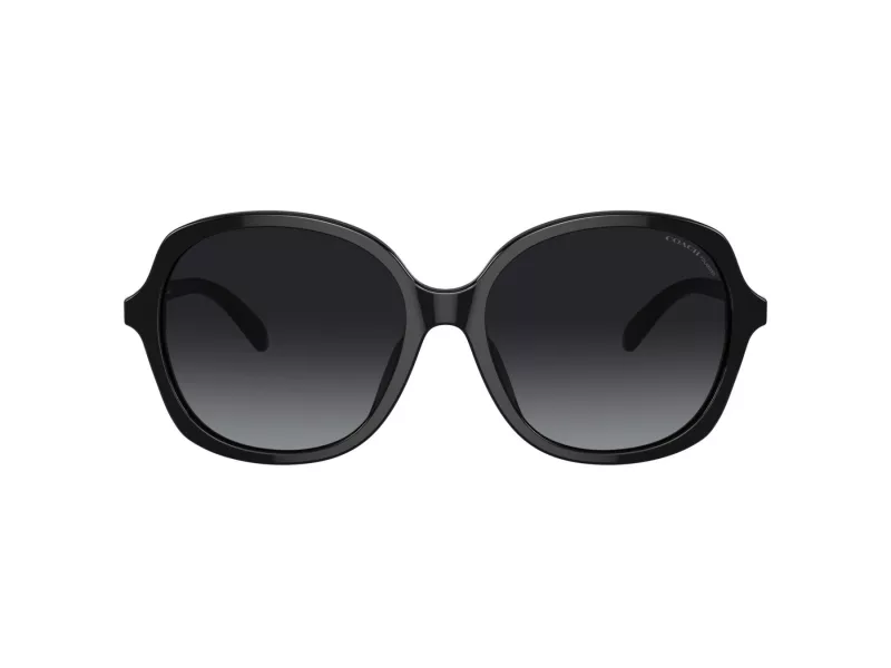 Coach Ch557 Sonnenbrille HC 8360U 5002T3