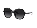 Coach Ch557 Sonnenbrille HC 8360U 5002T3