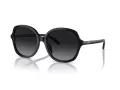 Coach Ch557 Sonnenbrille HC 8360U 5002T3