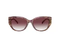 Coach Ch563 Sonnenbrille HC 8362U 57398H