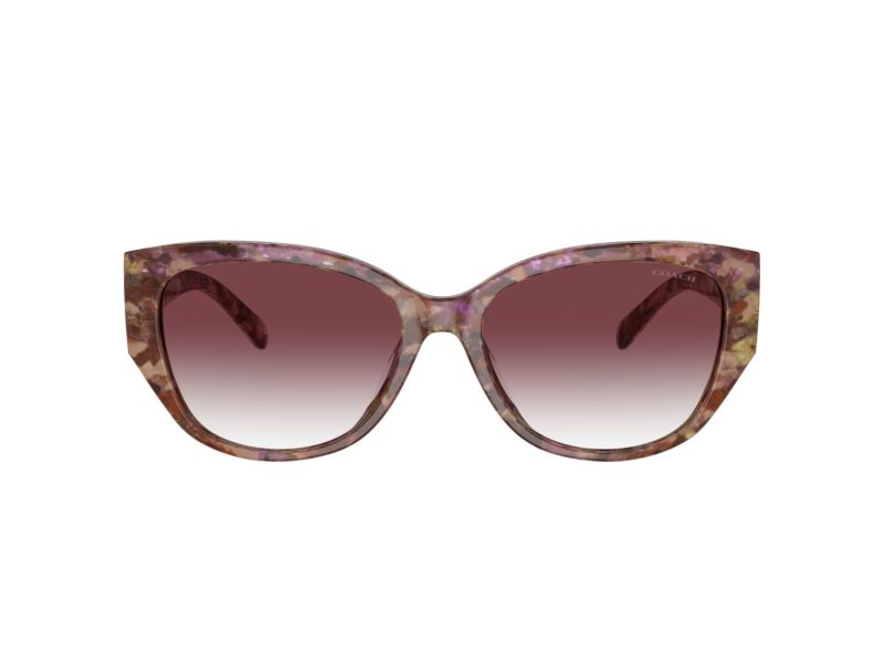Coach Ch563 Sonnenbrille HC 8362U 57398H