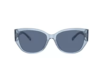 Coach Ch563 Sonnenbrille HC 8362U 574080
