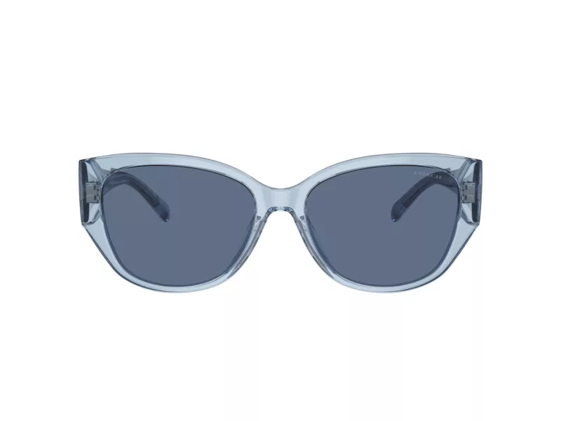 Coach Ch563 Sonnenbrille HC 8362U 574080