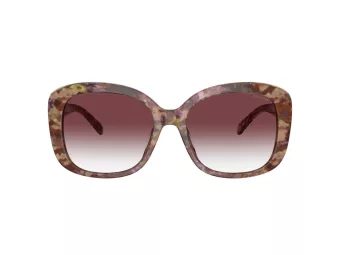 Coach Ch564 Sonnenbrille HC 8363U 57398H