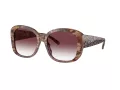 Coach Ch564 Sonnenbrille HC 8363U 57398H